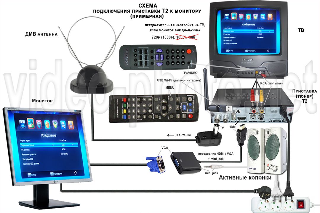 shema monitor t2